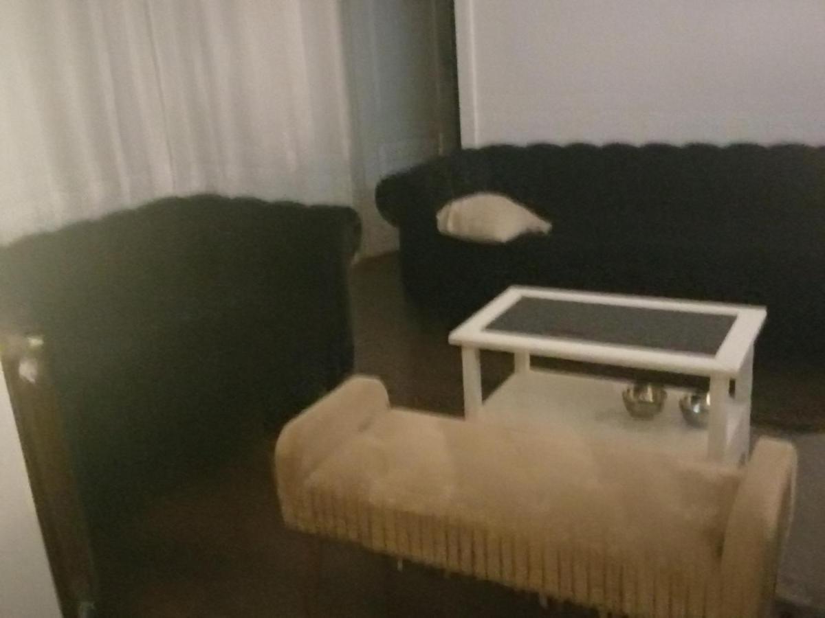 Apartment Rogic *