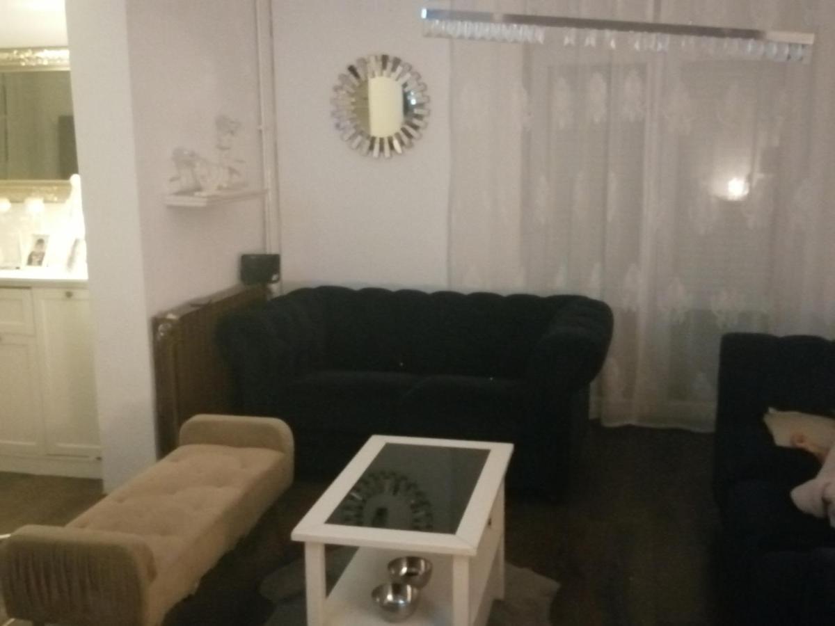Apartment Rogic *